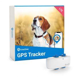 Pasji GPS sledilnik